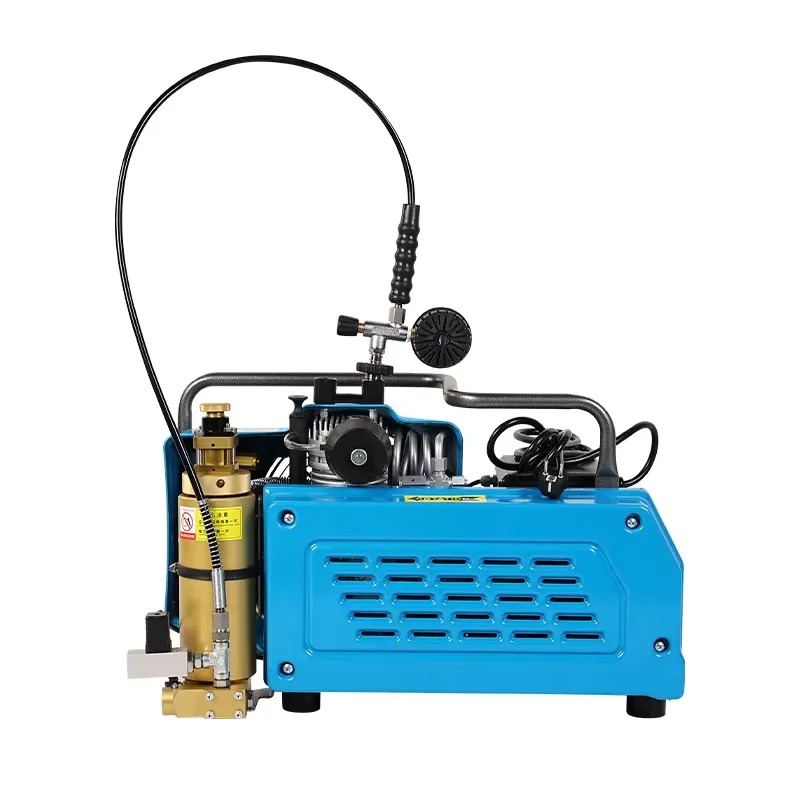 Hot Sale High Pressure 300Bar  - Air Compressor Portable 评论和价格