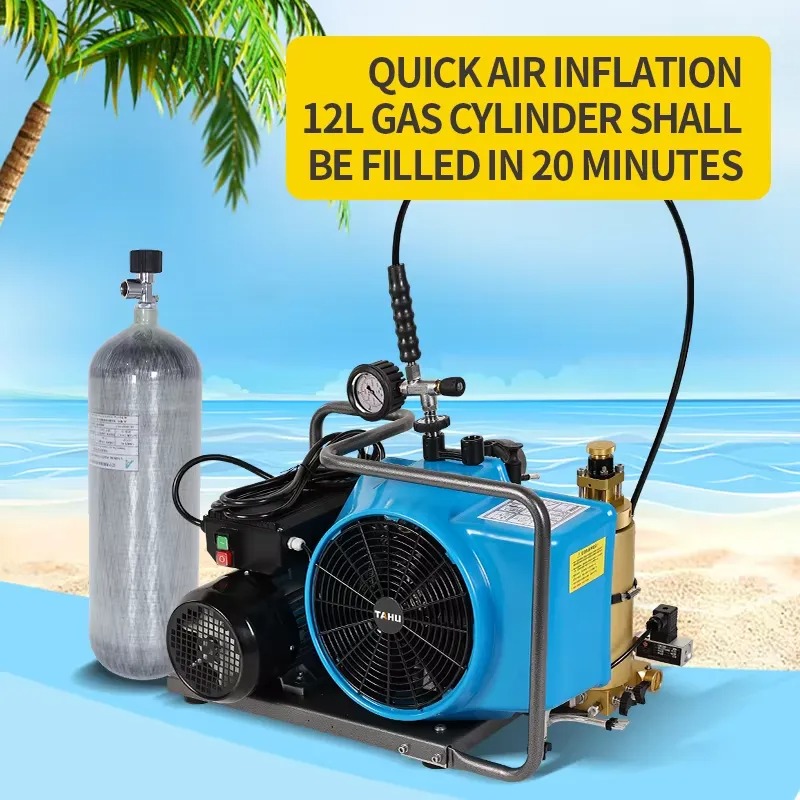 Hot Sale High Pressure 300Bar  - Air Compressor Portable 评论和价格
