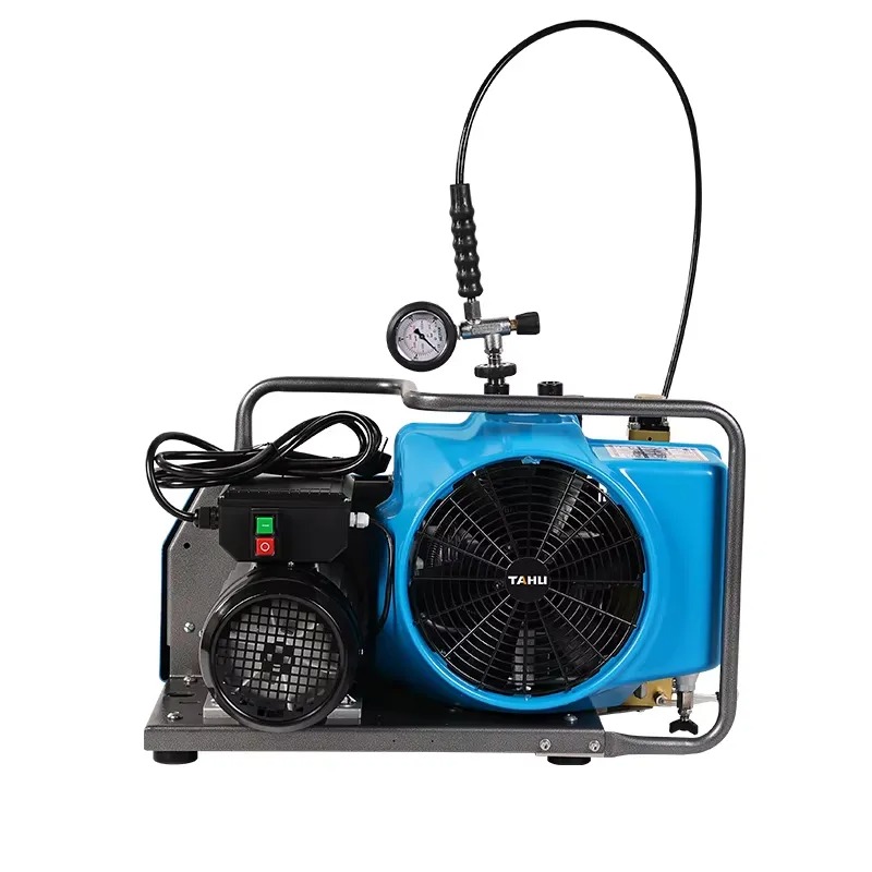 Hot Sale High Pressure 300Bar  - Air Compressor Portable 评论和价格